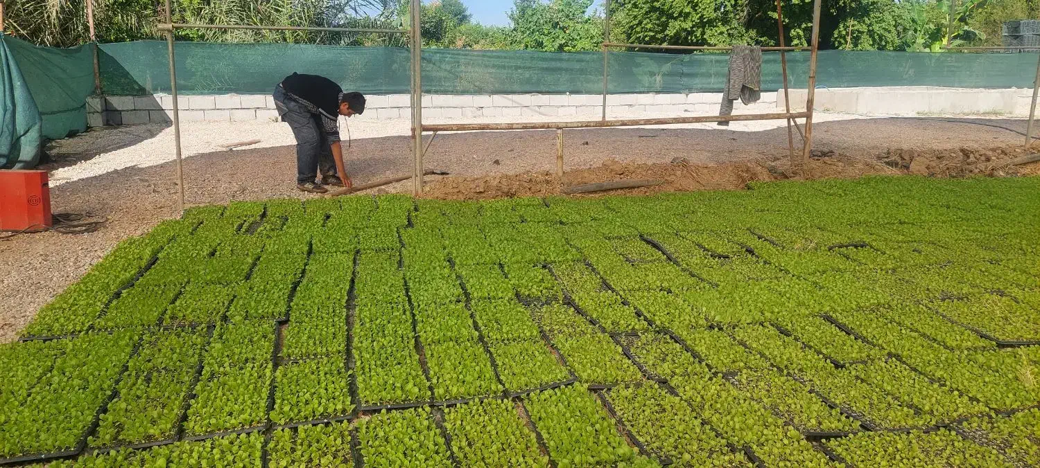 نگهبان باغ|استخدام سرایداری و نظافت|دزفول, |دیوار