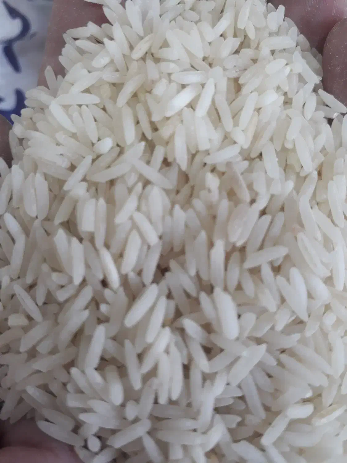 پخش عمده برنج فجرشیراز|خوردنی و آشامیدنی|اصفهان, پزوه|دیوار