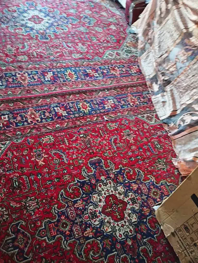 فرش دستبافت عتیقه|فرش|زاهدان, |دیوار