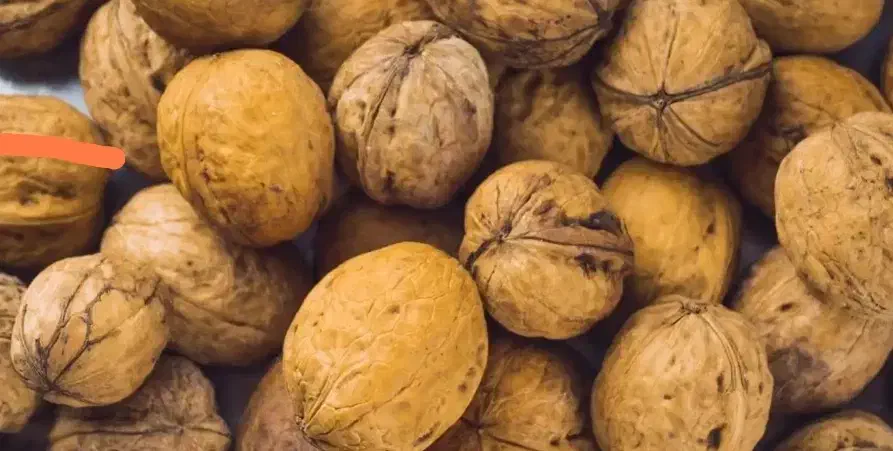 گردو سپیدان|خوردنی و آشامیدنی|شیراز, ابیوردی|دیوار