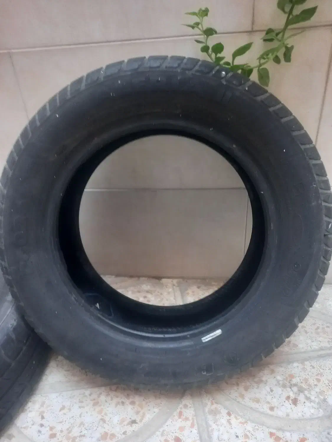 لاستیک ساینا بارز ۲ حلقه وگلدستون ۲ حلقه|قطعات یدکی و لوازم جانبی|بهارستان, |دیوار