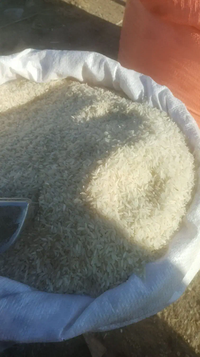 برنج هاشمی اصل|خدمات پذیرایی، مراسم|دره رود, |دیوار