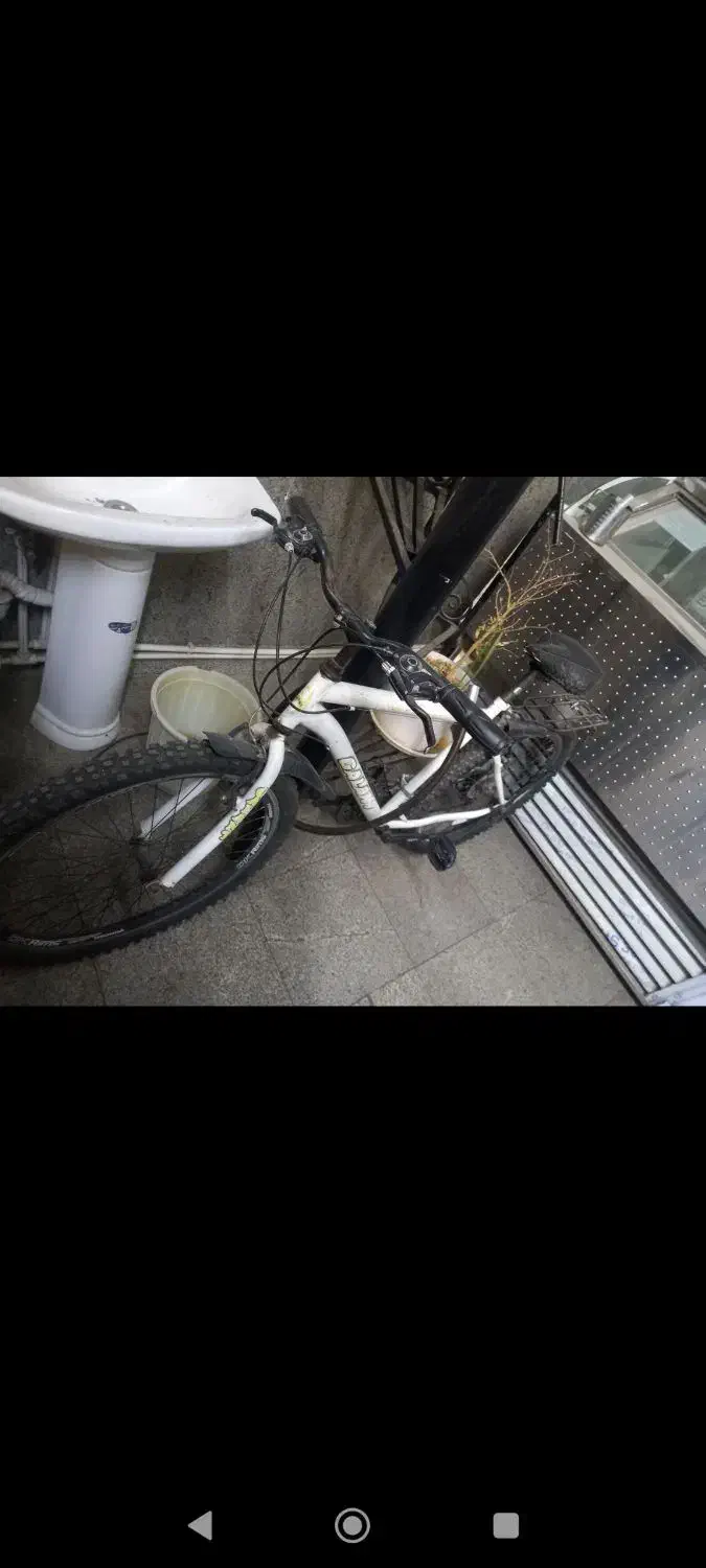 دوچرخه گالانت 26|دوچرخه، اسکیت، اسکوتر|محمدشهر, محمدشهر|دیوار