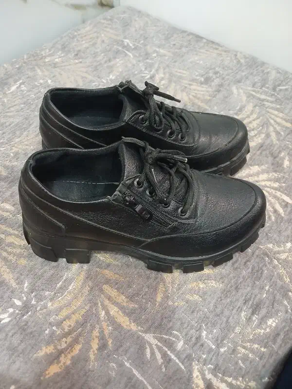 کفش اداری|کیف، کفش، کمربند|مهریز, |دیوار