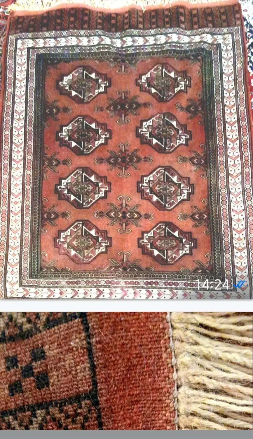 فرش ترکمن دستباف سالم|فرش|اندیشه, اندیشه فاز ۳|دیوار