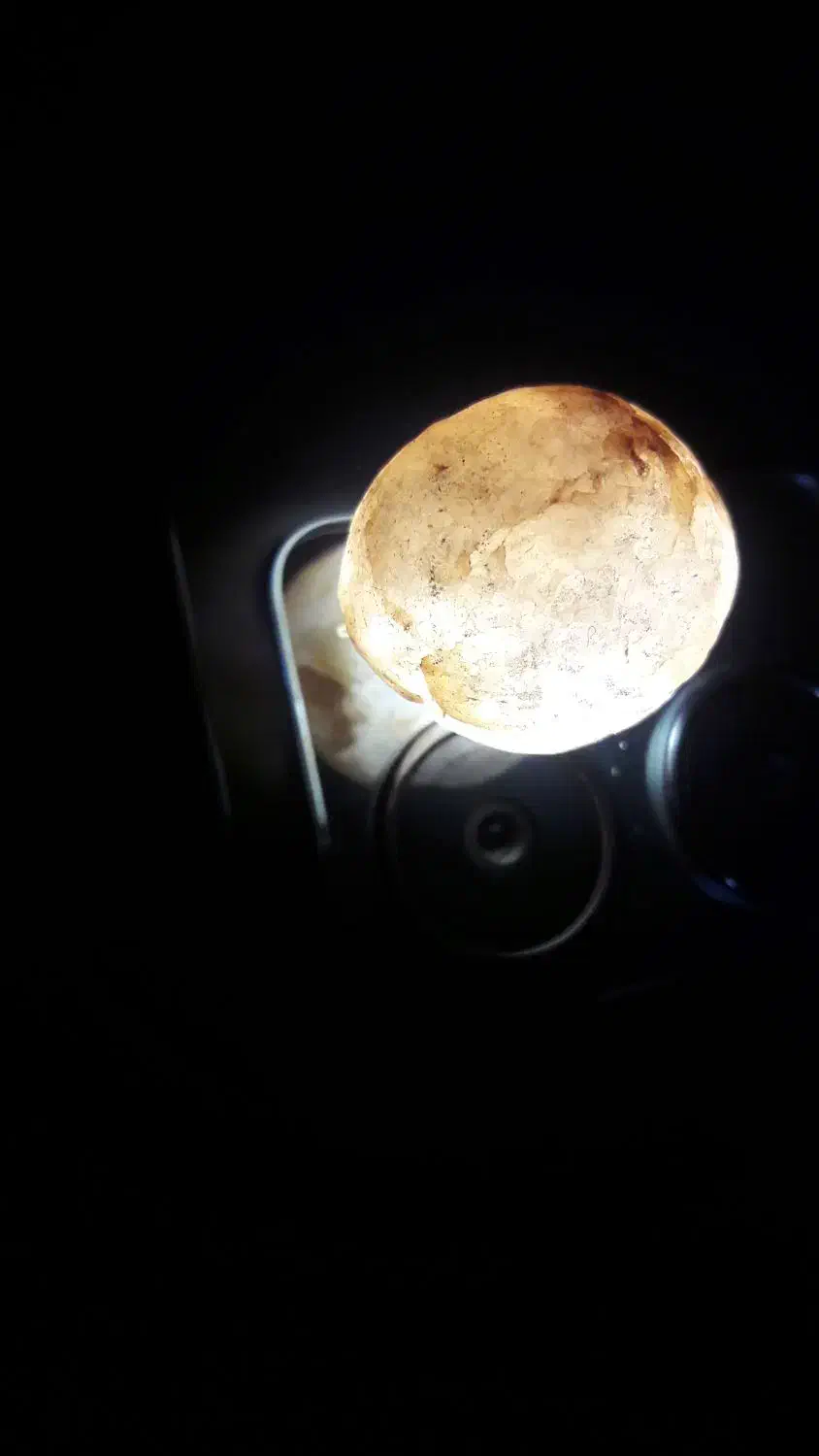 جواهر|جواهرات|تهران, هفده شهریور|دیوار