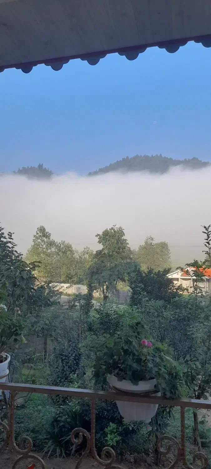 ویلاجنگلی  در دل طبعیت|اجارهٔ خانه و ویلا|ماسال, |دیوار