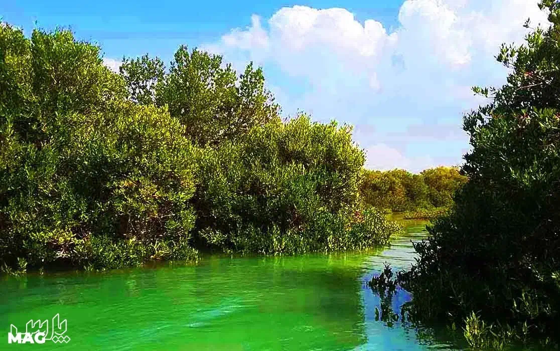 تور چابهار|تور و چارتر|تهران, امیریه|دیوار