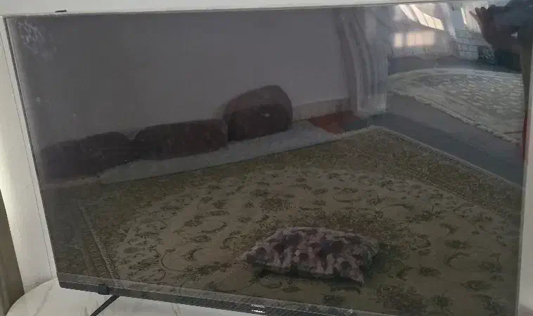 تلویزیون اکسی ویژن ۵۵ اینچ|تلویزیون و پروژکتور|گنبد کاووس, |دیوار