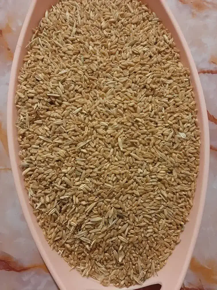 گندم دیم|خدمات باغبانی و درختکاری|آبدانان, |دیوار