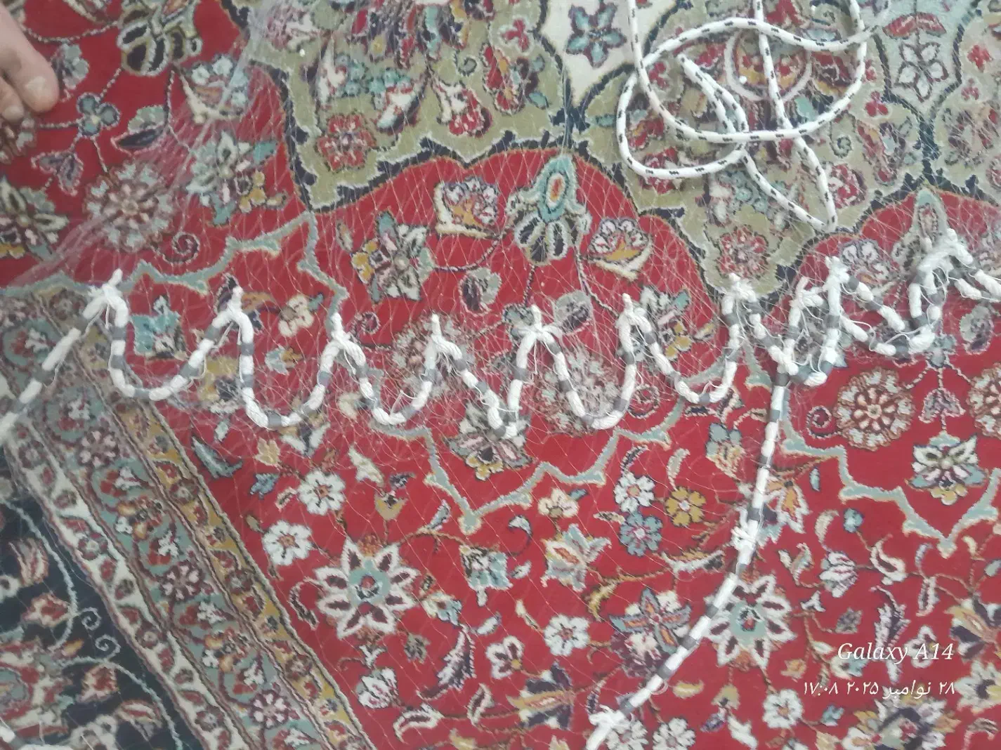 تور ماهیگیری|ماهیگیری|خرمآباد, |دیوار