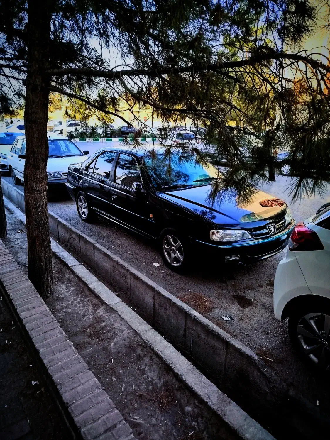 پارس تیو فایو|خودرو سواری و وانت|زاهدان, |دیوار