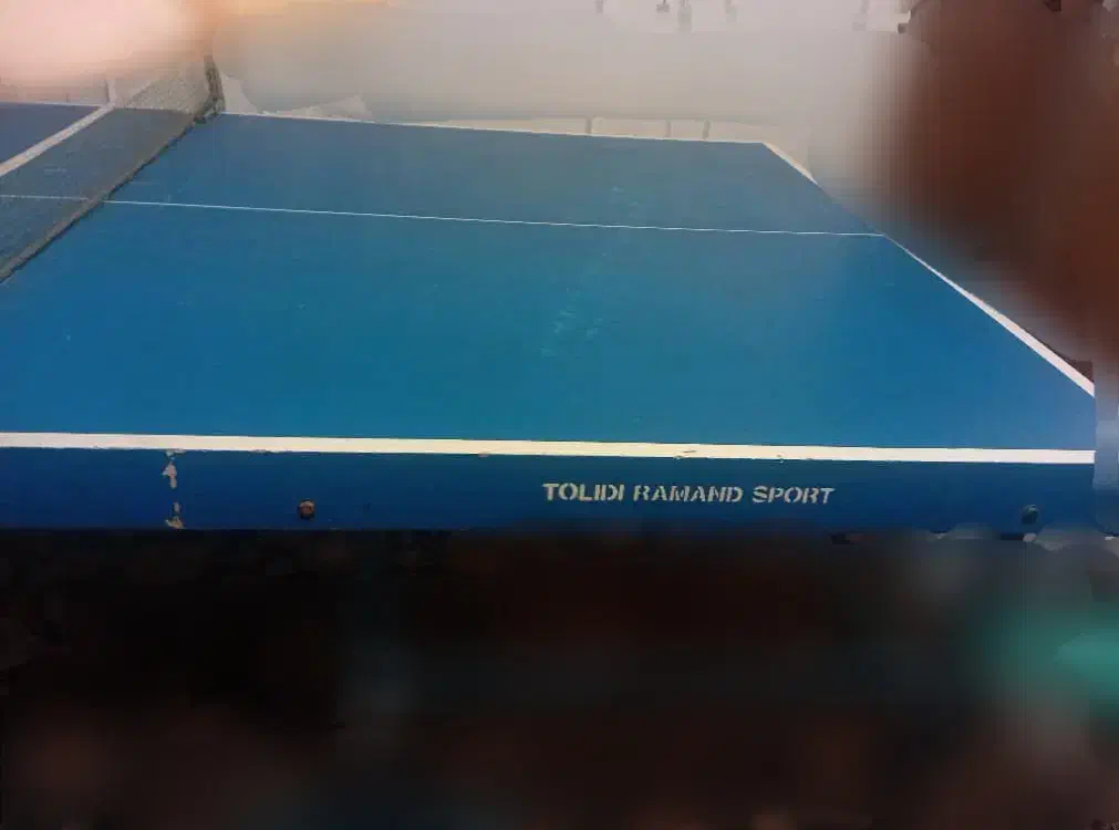 میز پینگ پنگ ۸ چرخ برند رامند|ورزشهای توپی|تهران, بیسیم|دیوار