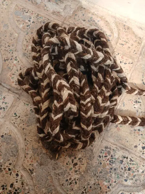 دوعدد چله (رسن)|اسب و تجهیزات اسبسواری|آبدانان, |دیوار