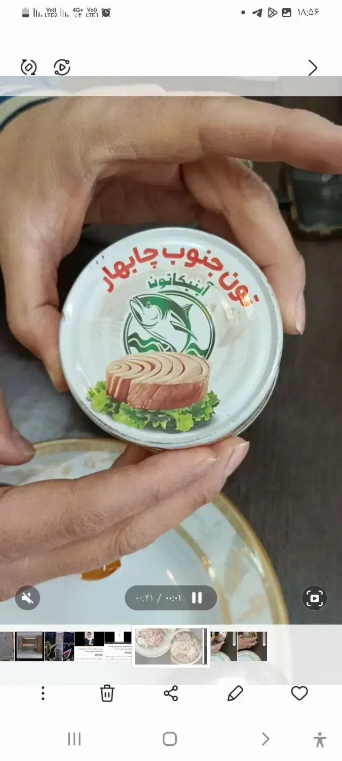 تون جنوب چابهار|خوردنی و آشامیدنی|تربت جام, معدآباد|دیوار