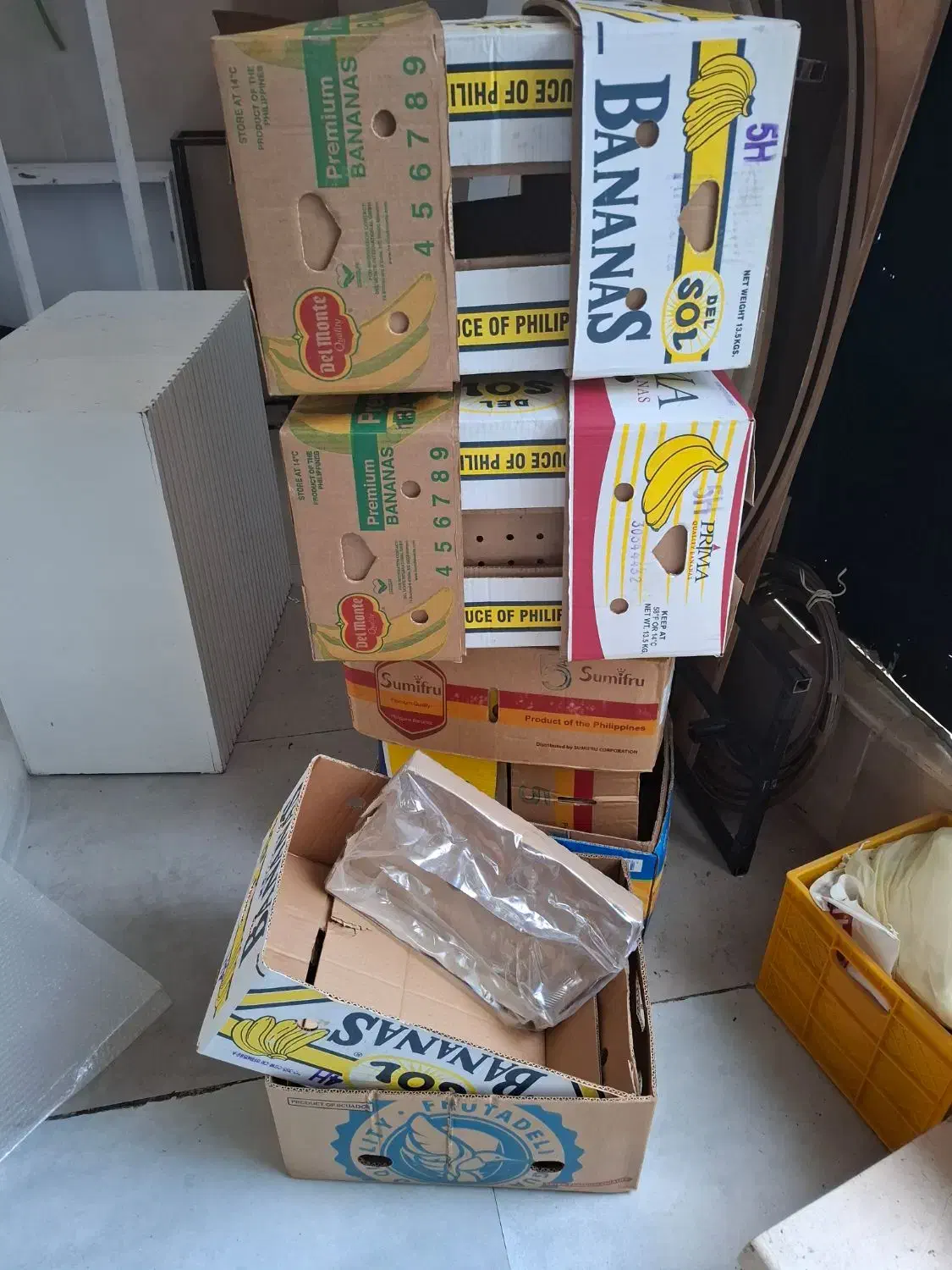 کارتن موزی|حراج|قم, الغدیر|دیوار