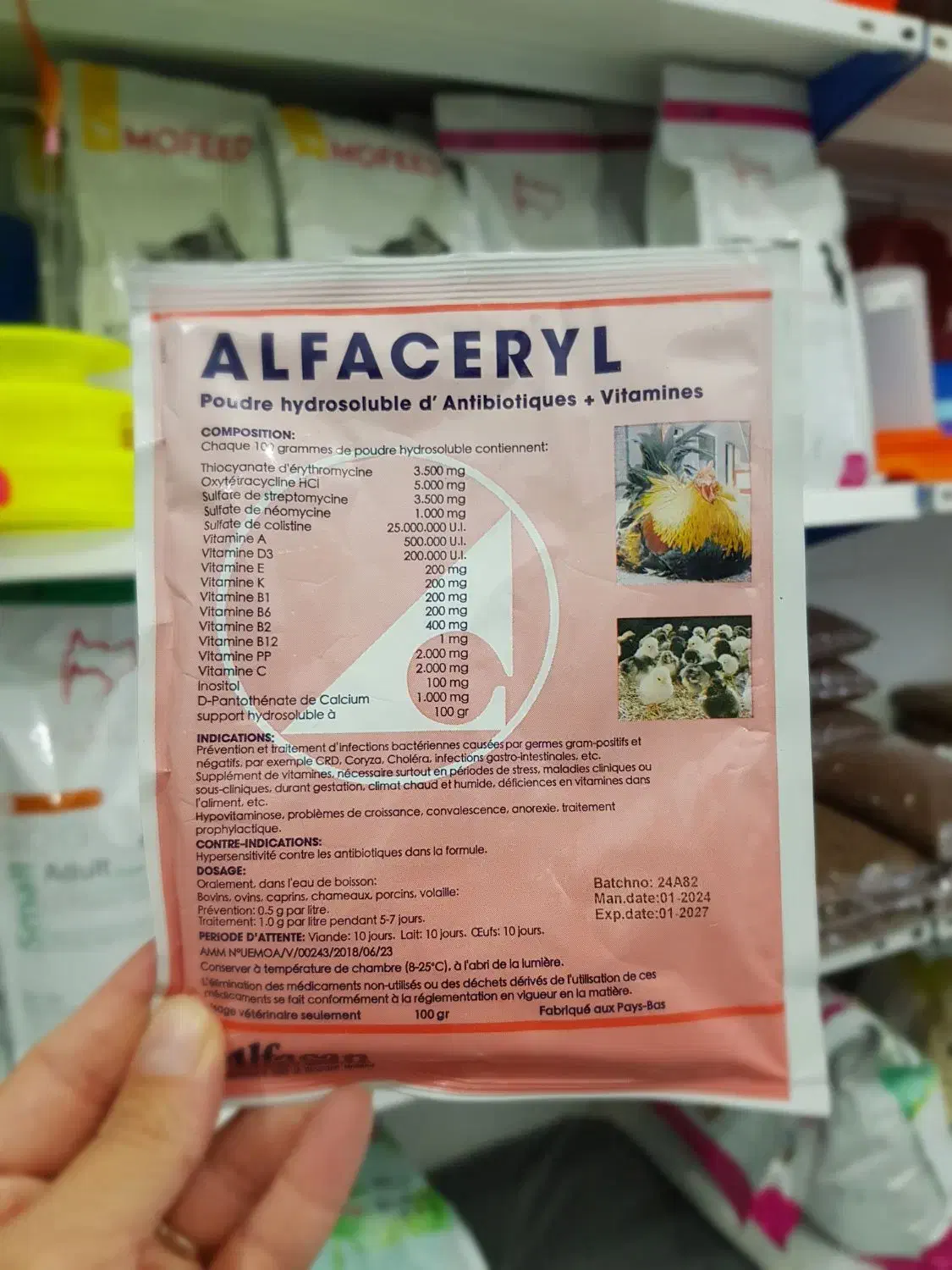 پت شاپ|لوازم جانبی حیوانات|فردوس (خراسان), |دیوار