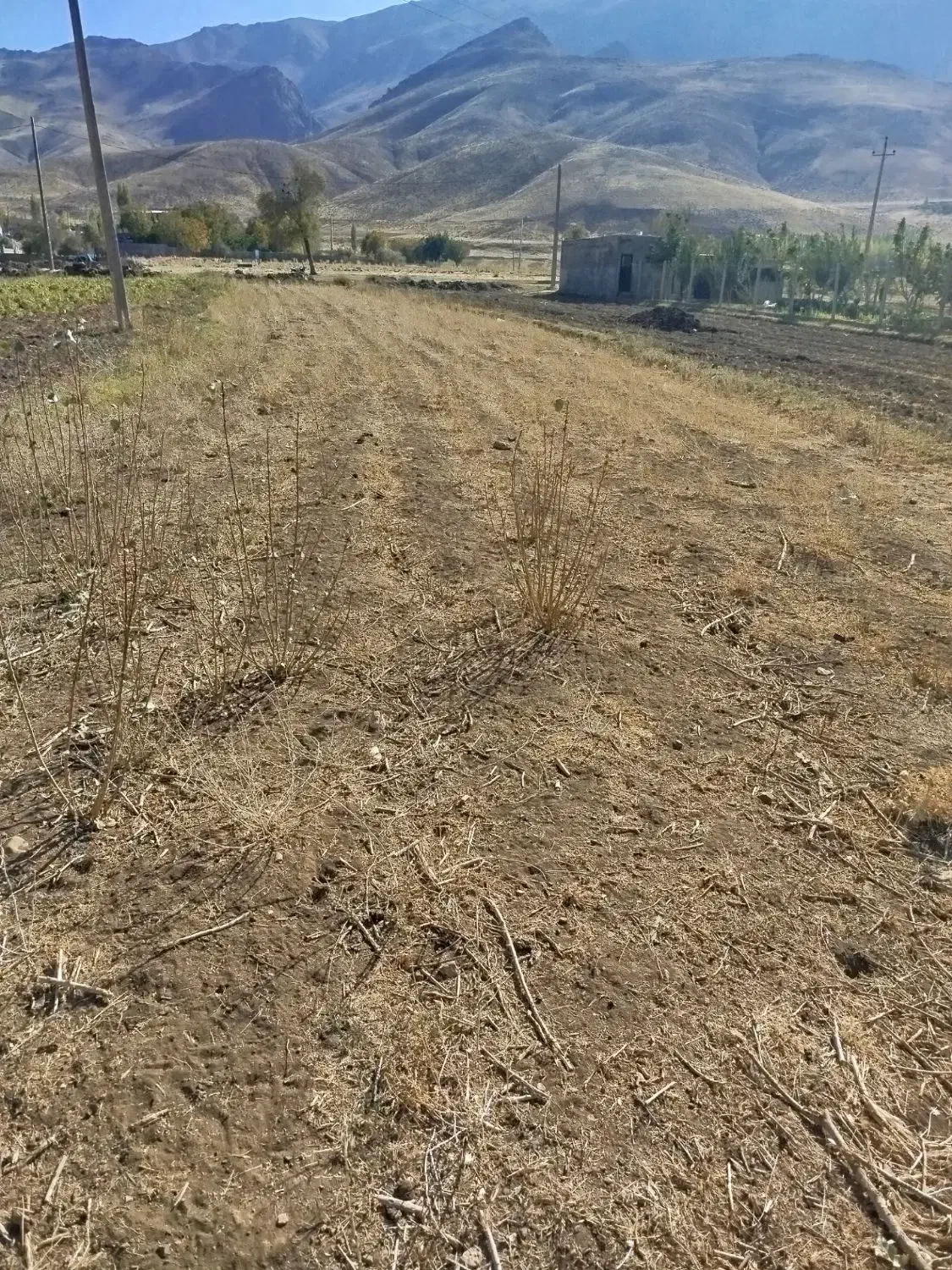 فروش زمین در روستای سیاوش آباد به متراژ ۵۰۰متر|فروش زمین و ملک کلنگی|ازنا, |دیوار