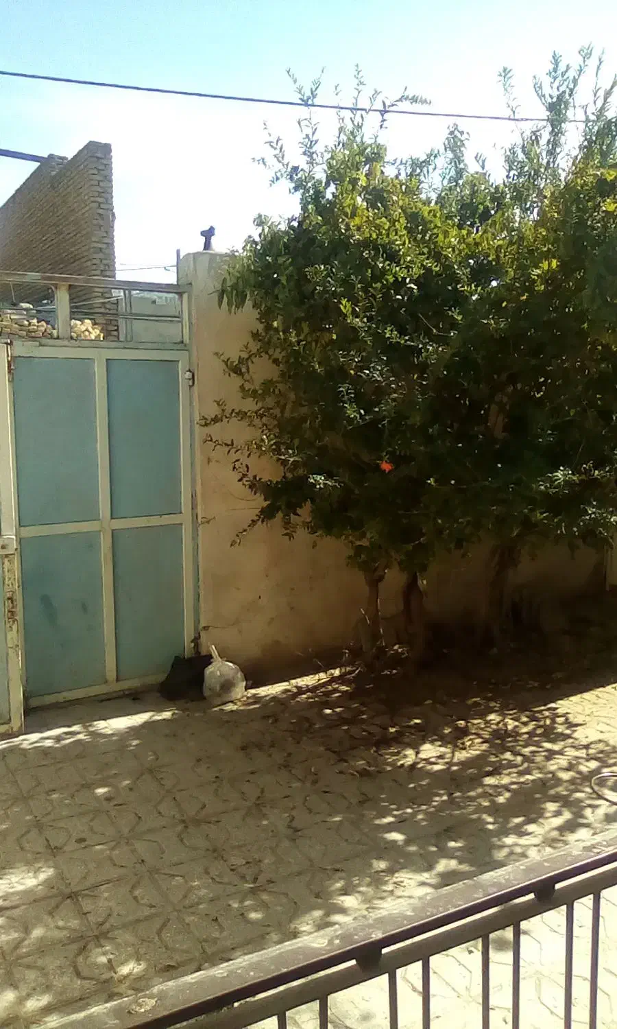 فروش خانه ویلایی|فروش خانه و ویلا|تربتحیدریه, باغ سلطانی|دیوار