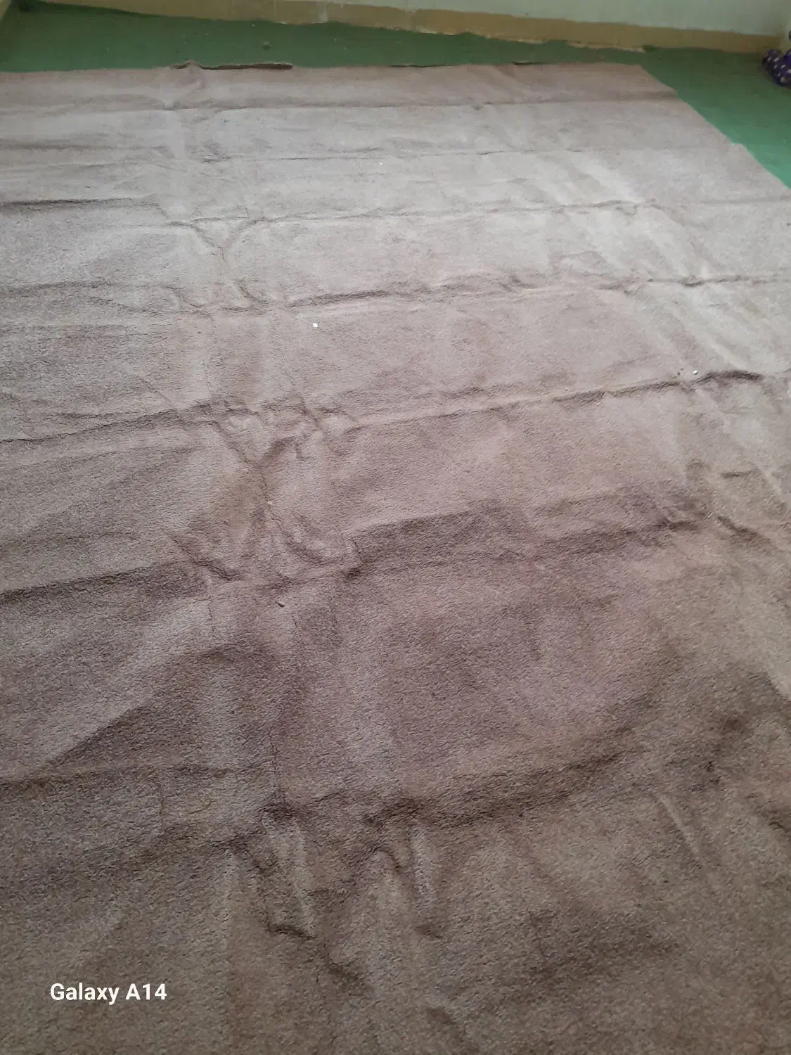 موکت|موکت|اهواز, شهرک دانشگاه|دیوار