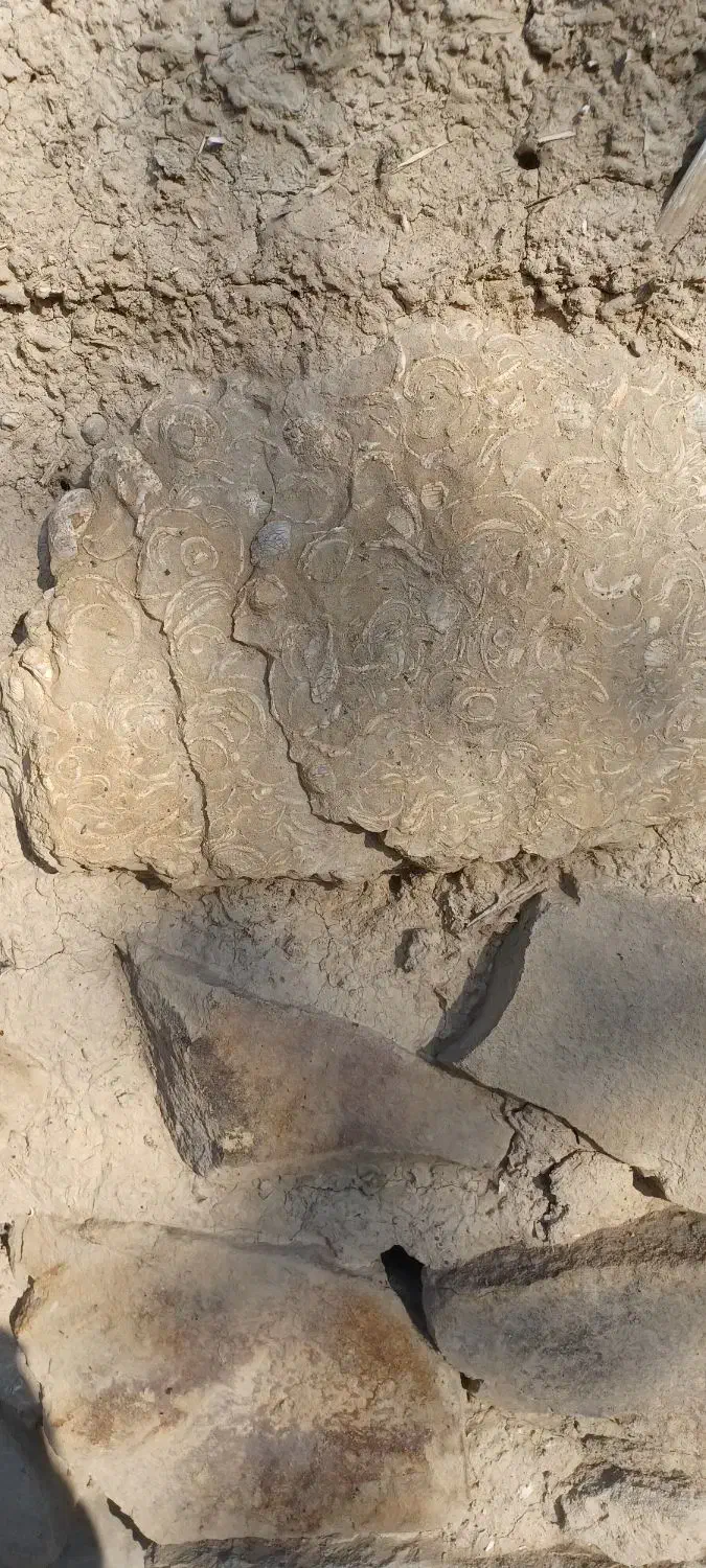 سنگ فسیلی|کلکسیون اشیاء عتیقه|هشتگرد, مدرس|دیوار