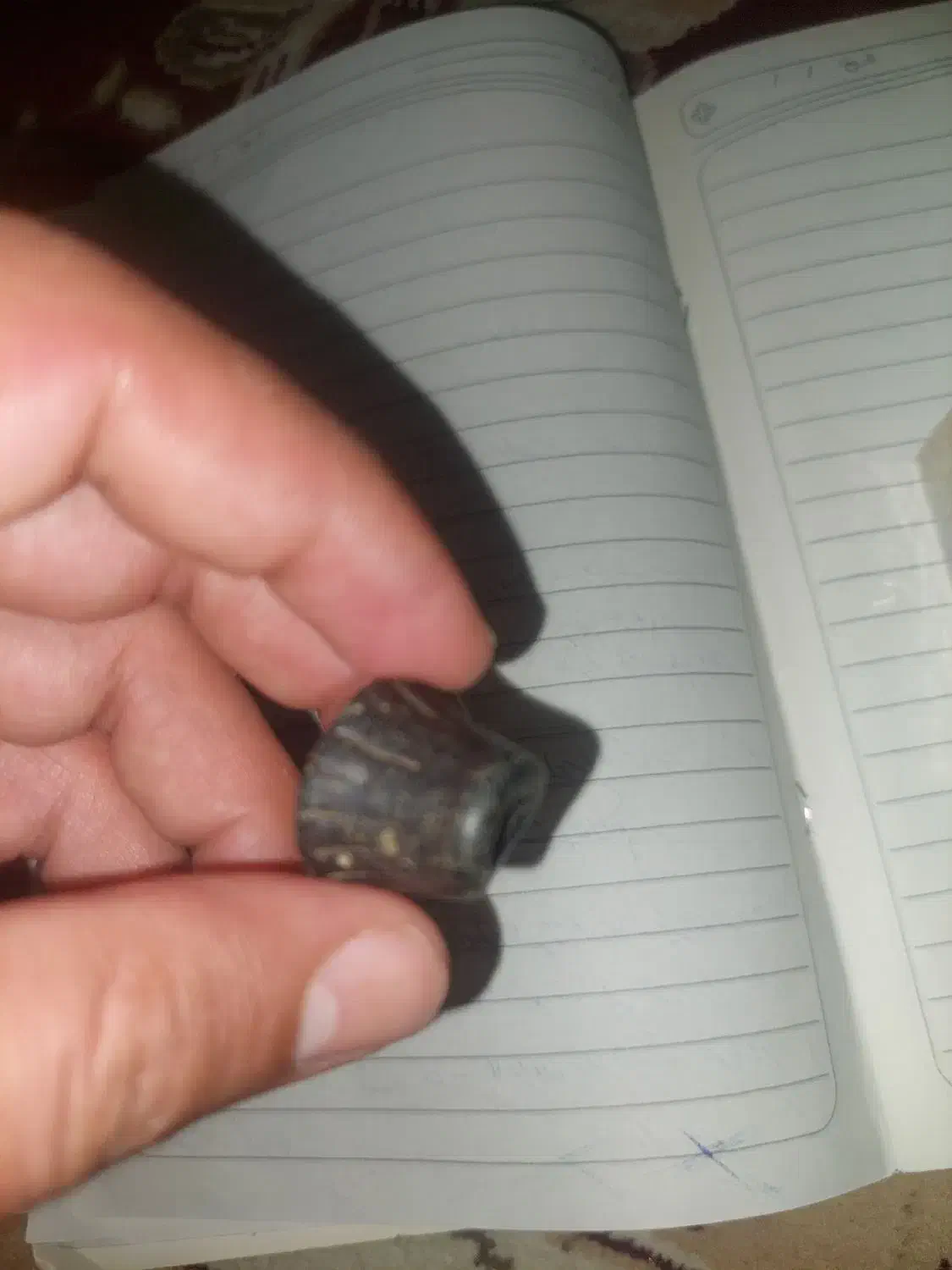 مهره یشم پادزهر کهنه|جواهرات|اندیمشک, |دیوار