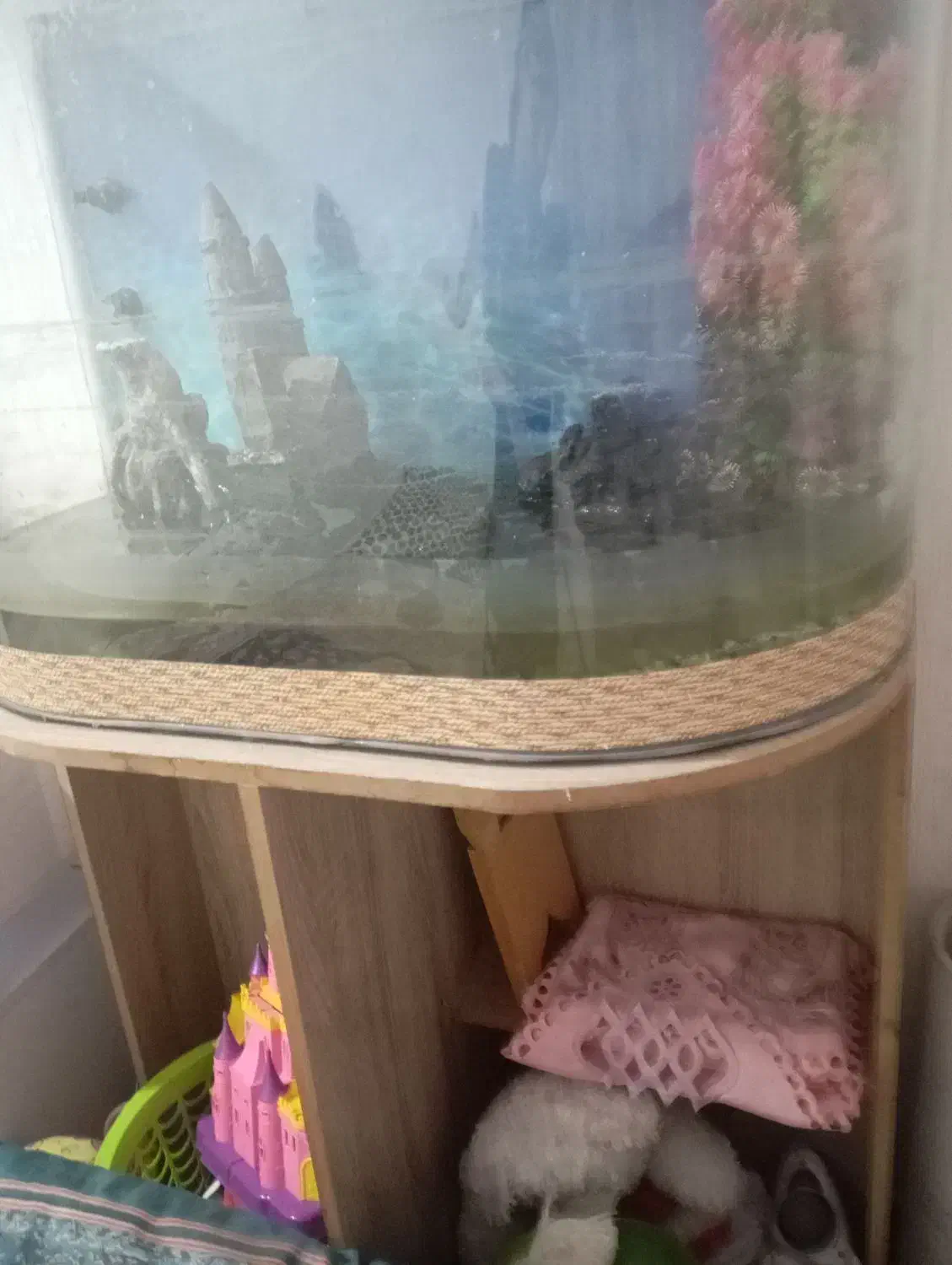 آکواریوم نو|ماهی|ایلام, |دیوار