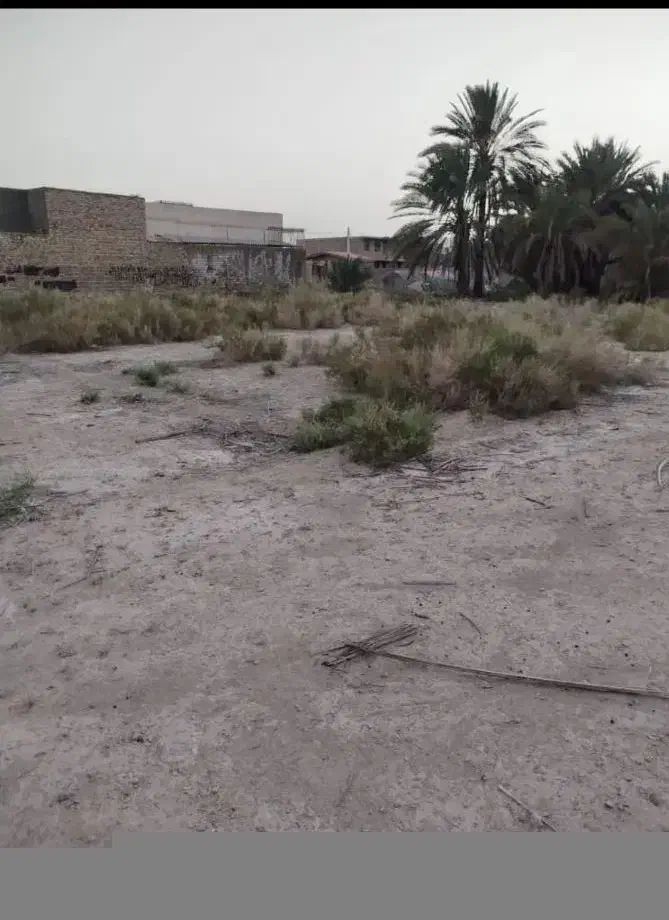 زمین|فروش زمین و ملک کلنگی|سراوان, |دیوار