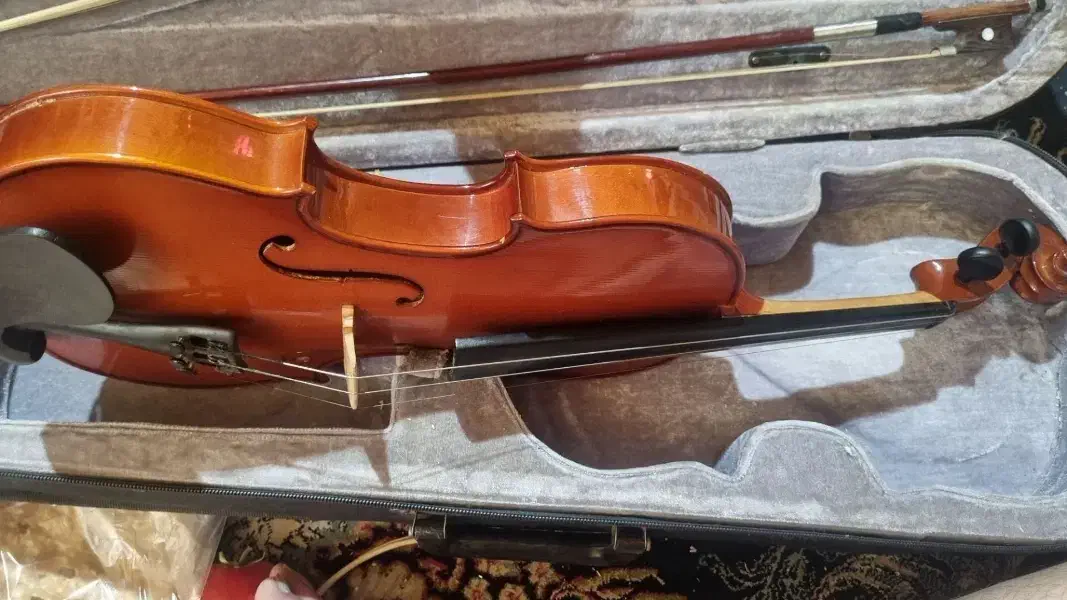 ویالن|ویولن|برخوار, |دیوار