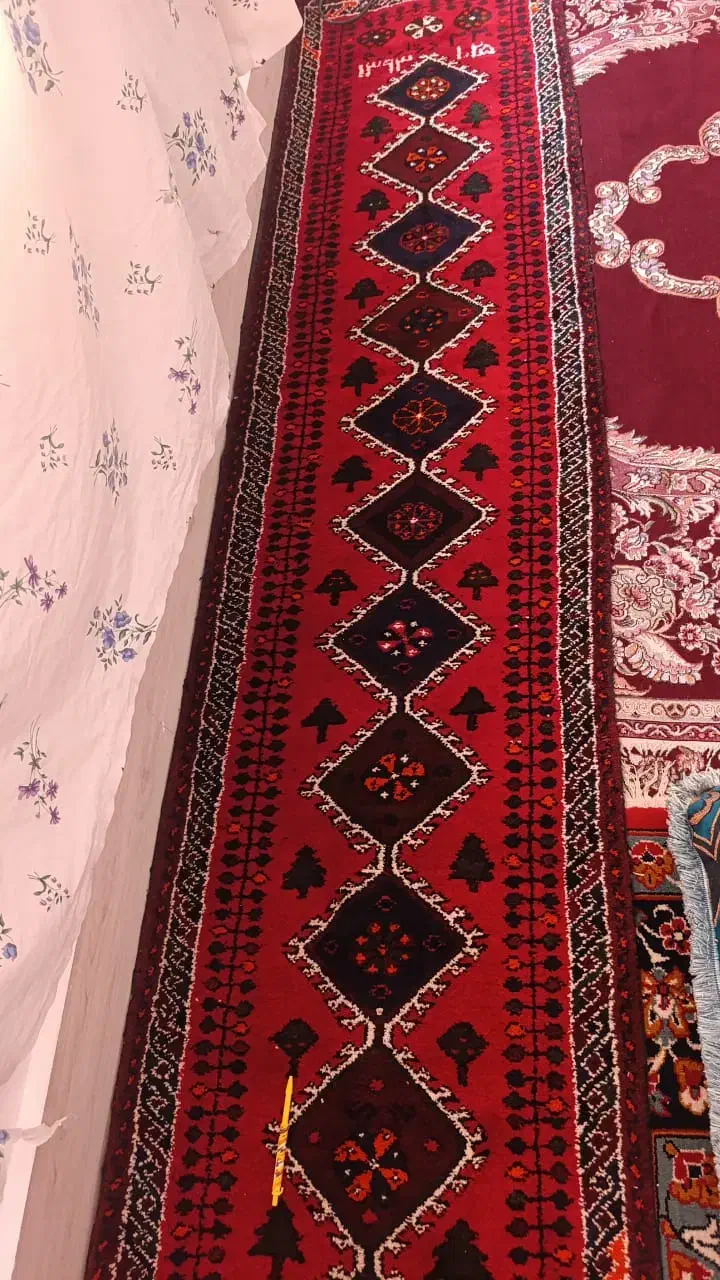 قالیچه دست بافت|فرش|داراب, |دیوار