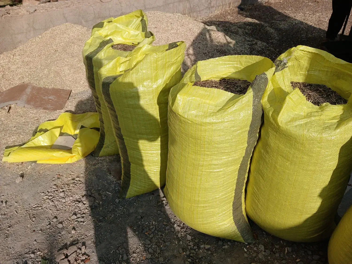 توم کانادایی|خوردنی و آشامیدنی|حسین آباد, |دیوار