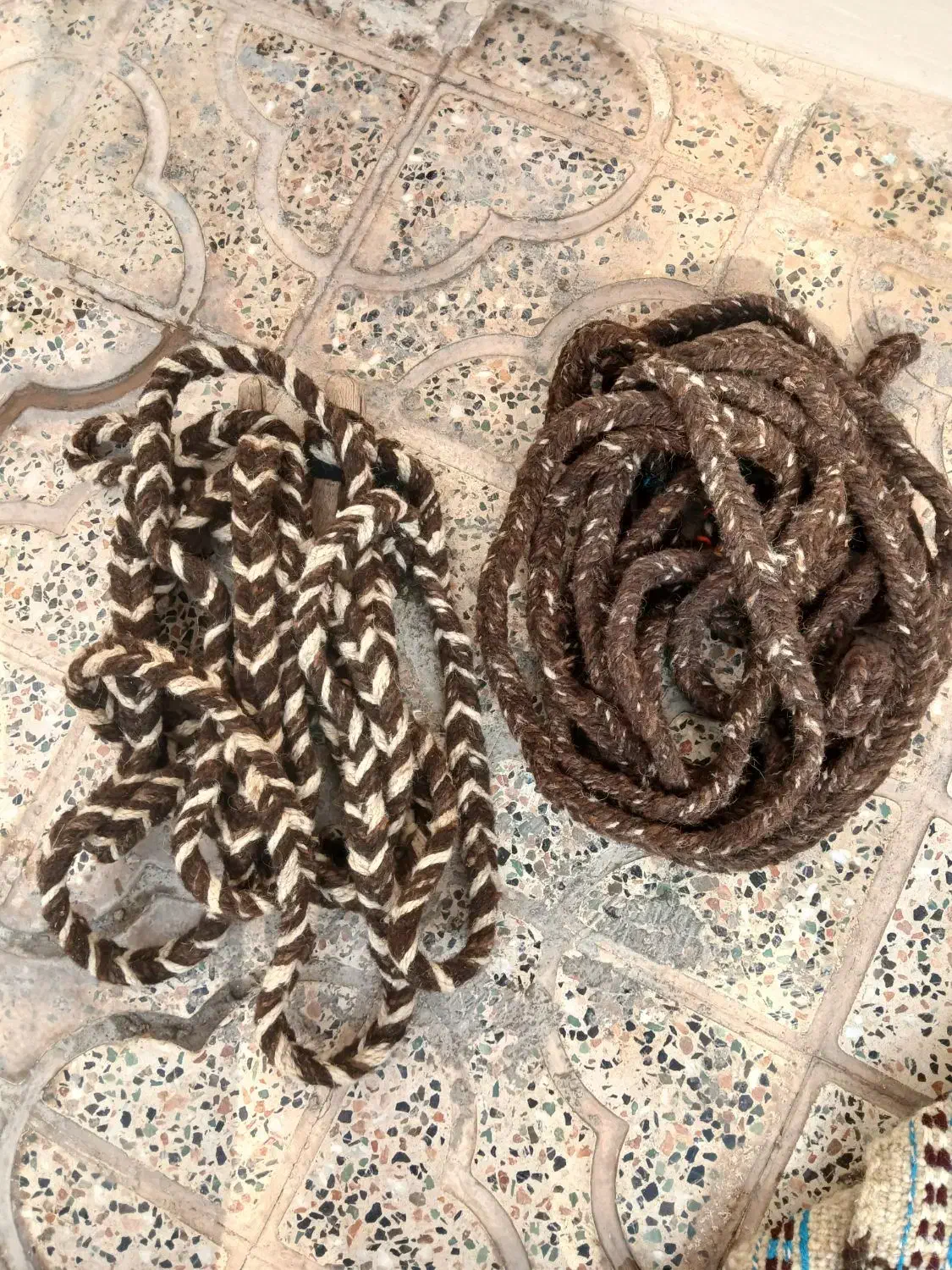 دوعدد (چله) رسن|اسب و تجهیزات اسب‌سواری|آبدانان, |دیوار