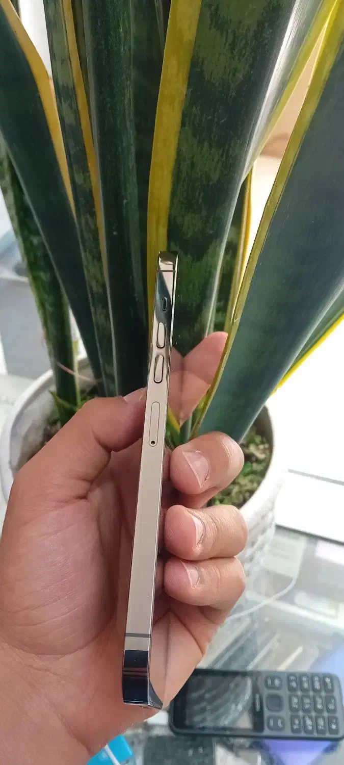 موبایل آیفون 13pro max|موبایل|اصفهان, زوان|دیوار
