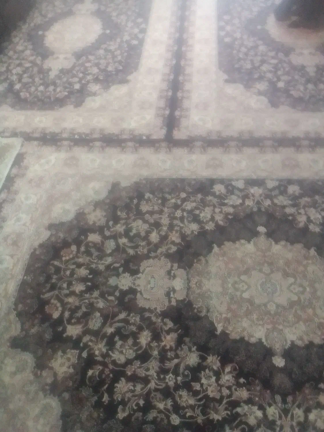 ۴ عدد فرش ۶متری|فرش|بروجرد, |دیوار