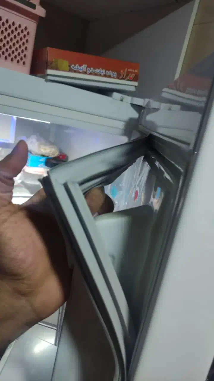 لاستیک درب یخچال خانگی|یخچال و فریزر|شیراز, کوزه گری|دیوار