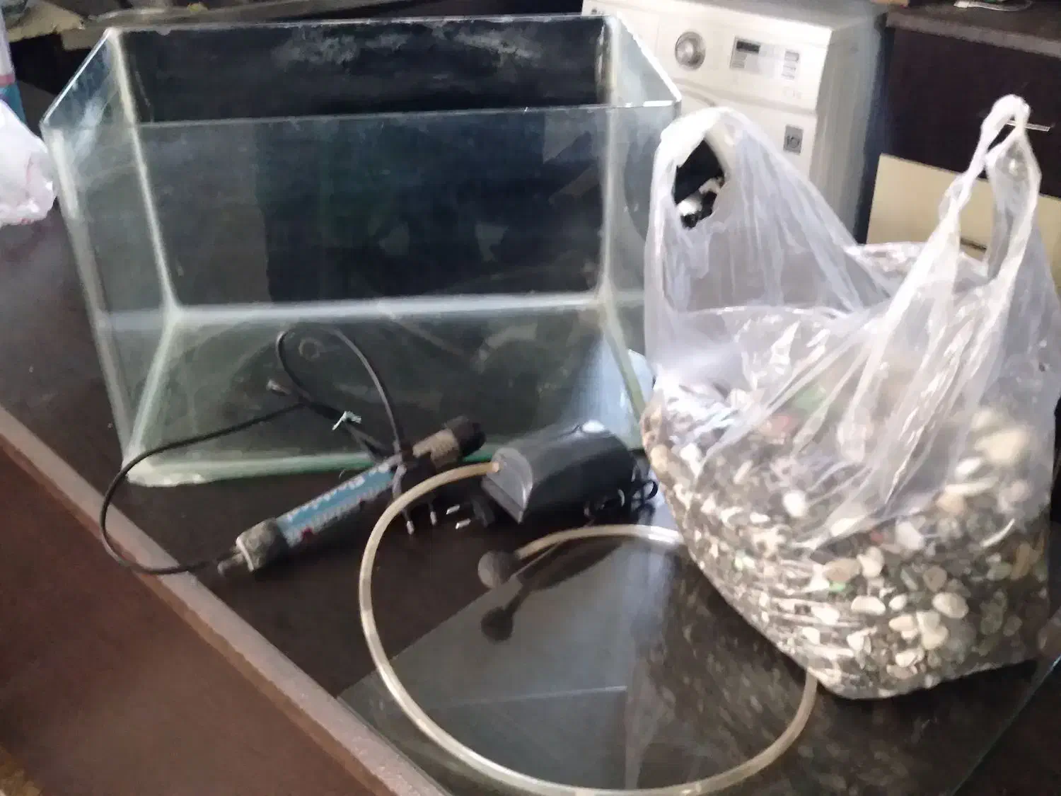 اکواریم|ماهی|شیراز, جوادیه|دیوار