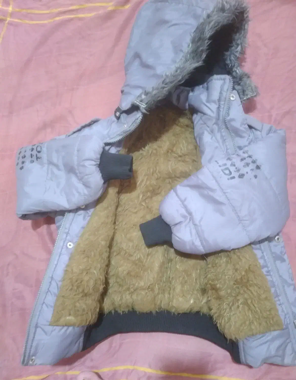 کیف مدرسه|کیف، کفش، کمربند|اندیمشک, |دیوار