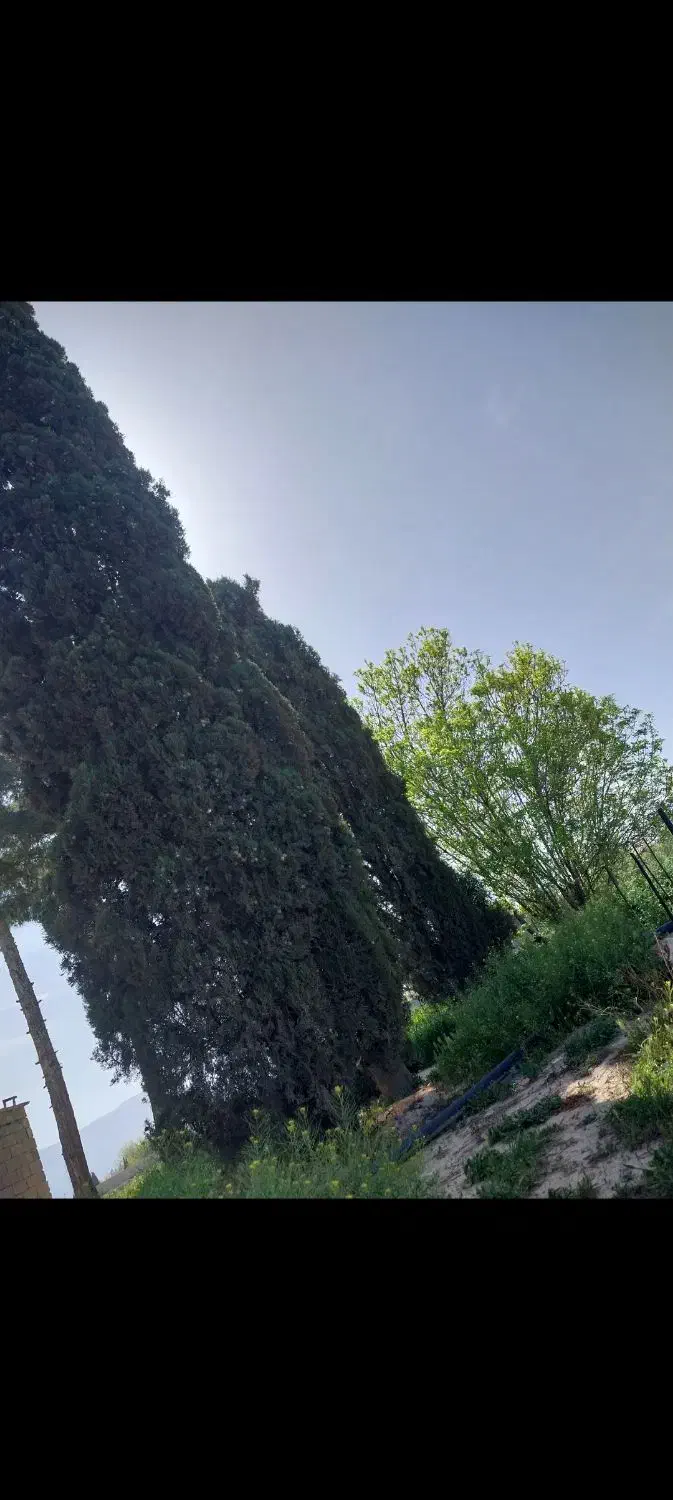 زمین با کاربری گلخانه ، اسطبل ، سردخانه ، باغ شهری|فروش دفتر صنعتی، کشاورزی، تجاری|شیراز, ظفرآباد|دیوار