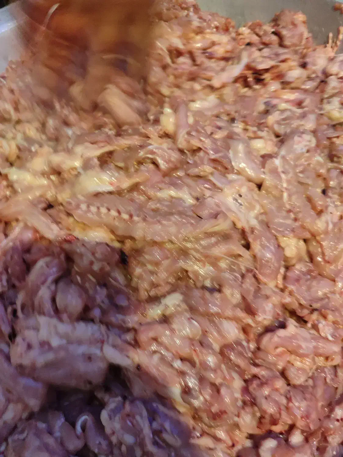 مایه کباب گوش واره پشت گردن|کافی‌شاپ و رستوران|مشهد, پنجتن|دیوار