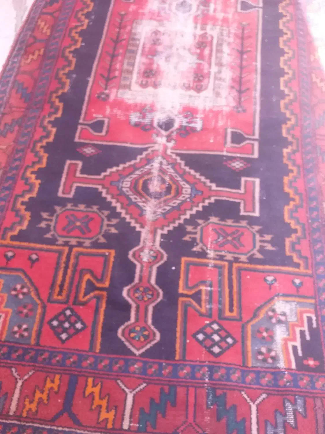 قالی قدیمی کوردی|فرش|مریوان, |دیوار