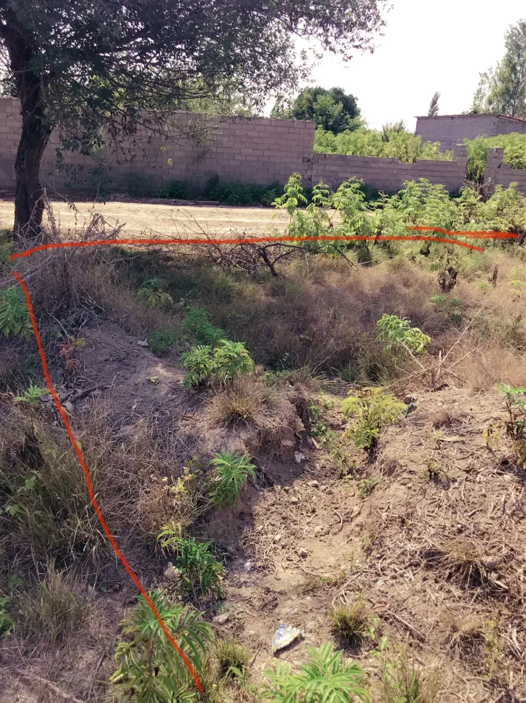 زمین باغچهای شهرکامامحسین ارزان قیمت|فروش زمین و ملک کلنگی|ساری, |دیوار