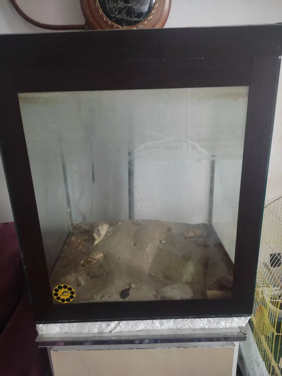 آکواریوم|ماهی|تبریز, |دیوار