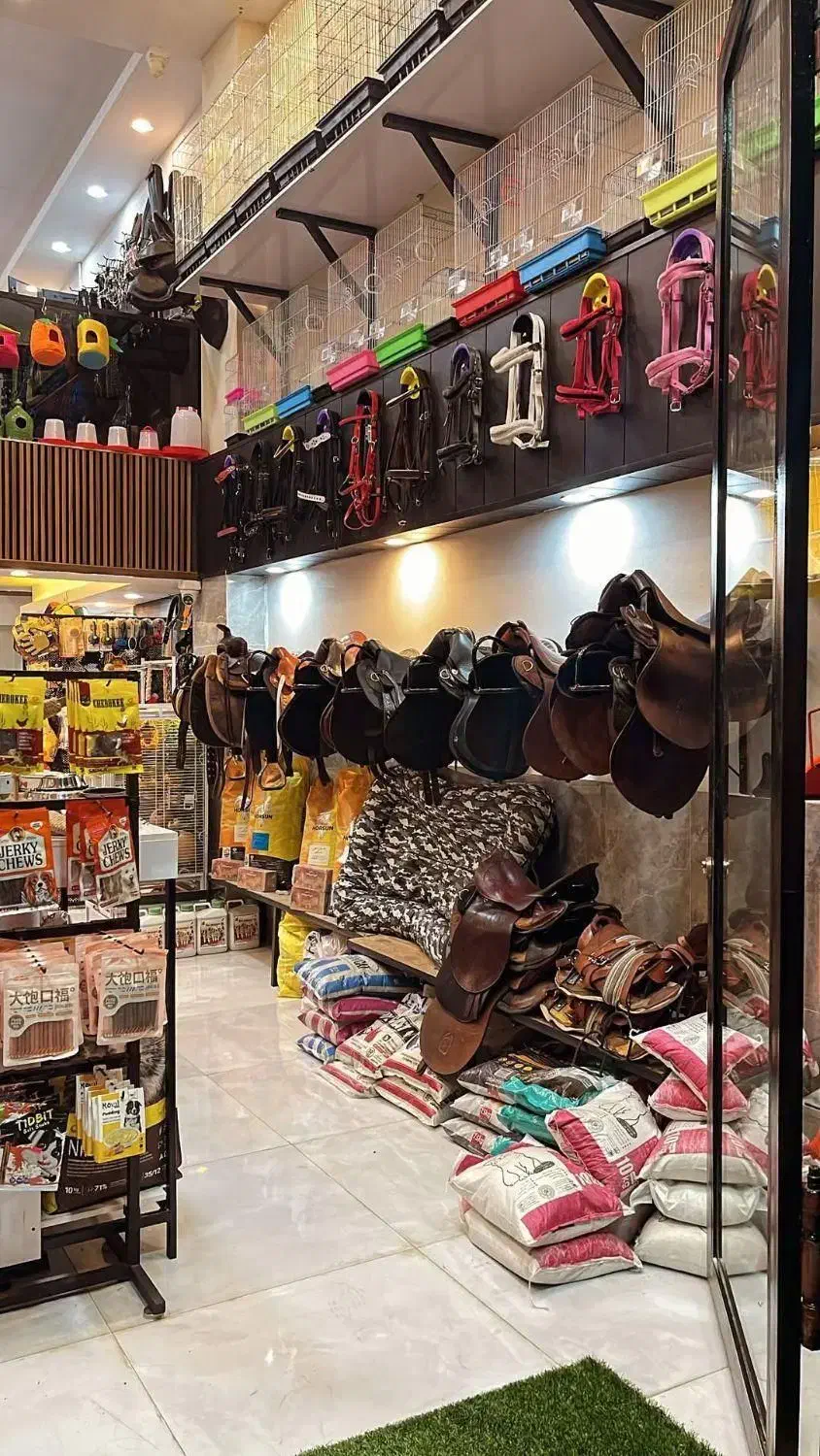 لوازم حیوانات خانگی و مزرعه|لوازم جانبی حیوانات|چالوس, |دیوار