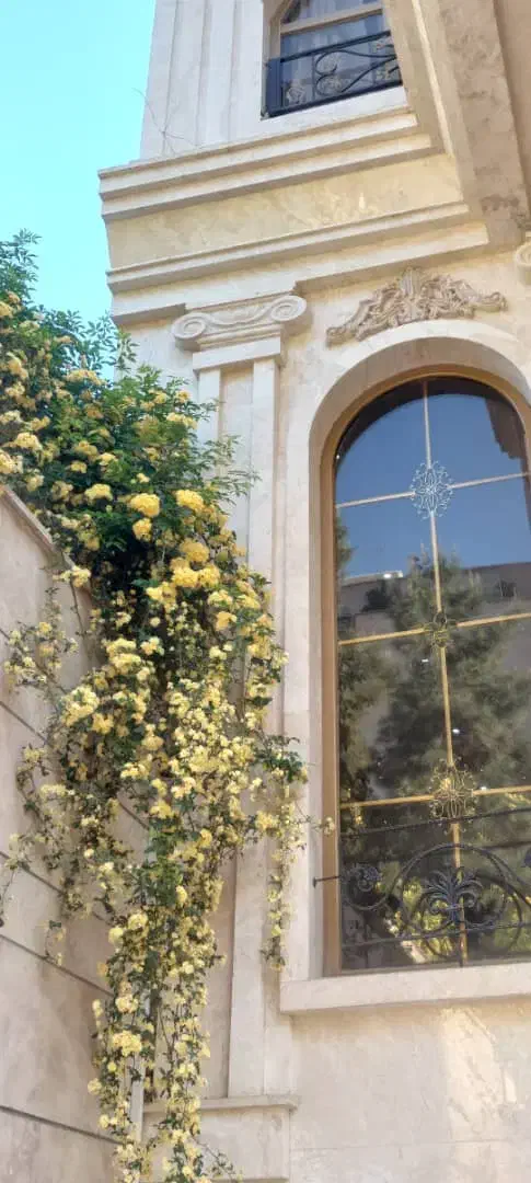 فروش آپارتمان|فروش آپارتمان|کرج, عظیمیه|دیوار