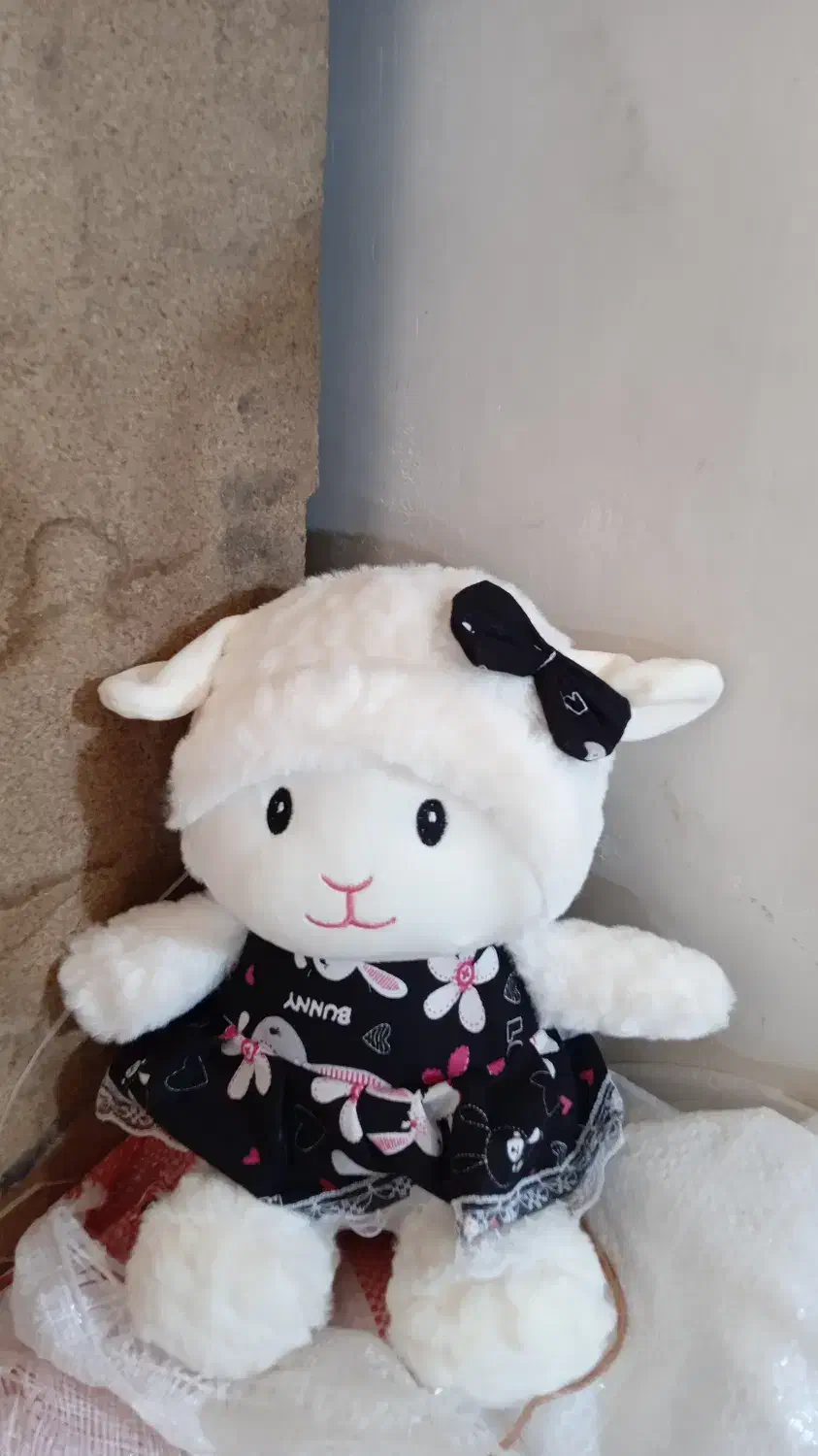 کرومی و کلی عروسک|اسباببازی بچه|قم, انسجام|دیوار