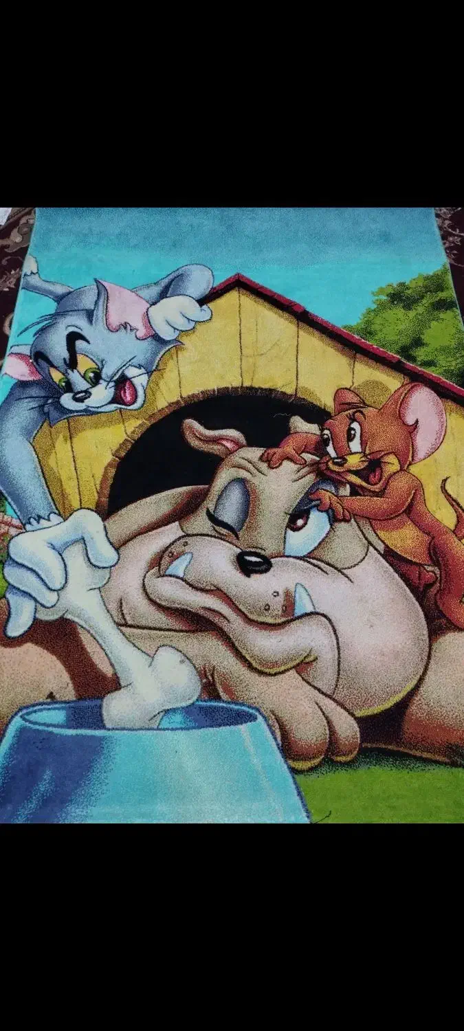 فرش اتاق کودک|فرش|شاهرود, |دیوار