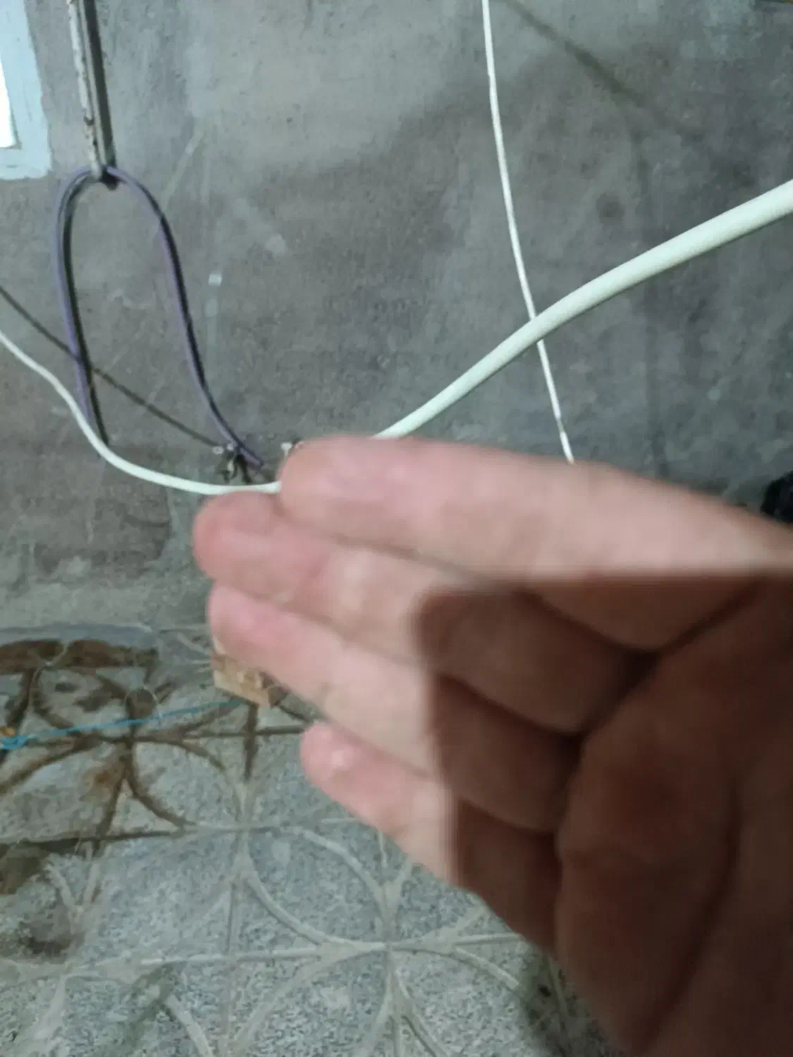 ۱عدد تور ماهی گیری|ماهیگیری|اردبیل, |دیوار