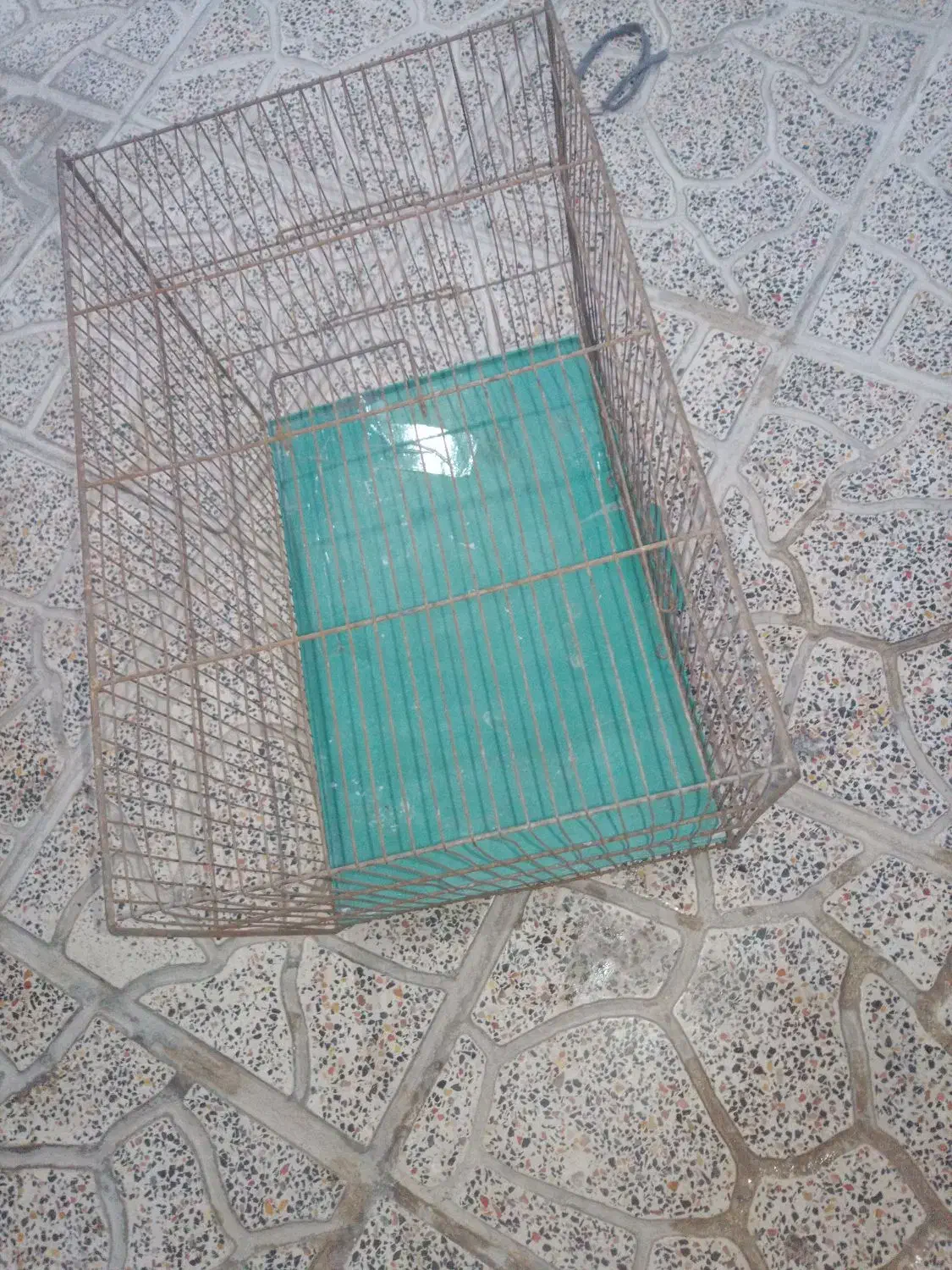 قفس بزرگ برای مرغ عشق و فنج هر نوع پرنده ای|لوازم جانبی حیوانات|کرمانشاه, |دیوار