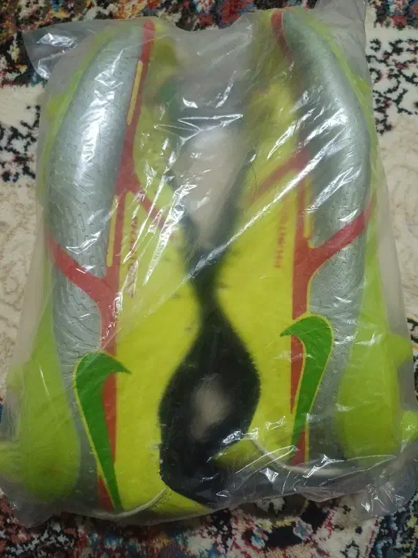 کفش|کیف، کفش، کمربند|چادگان, |دیوار