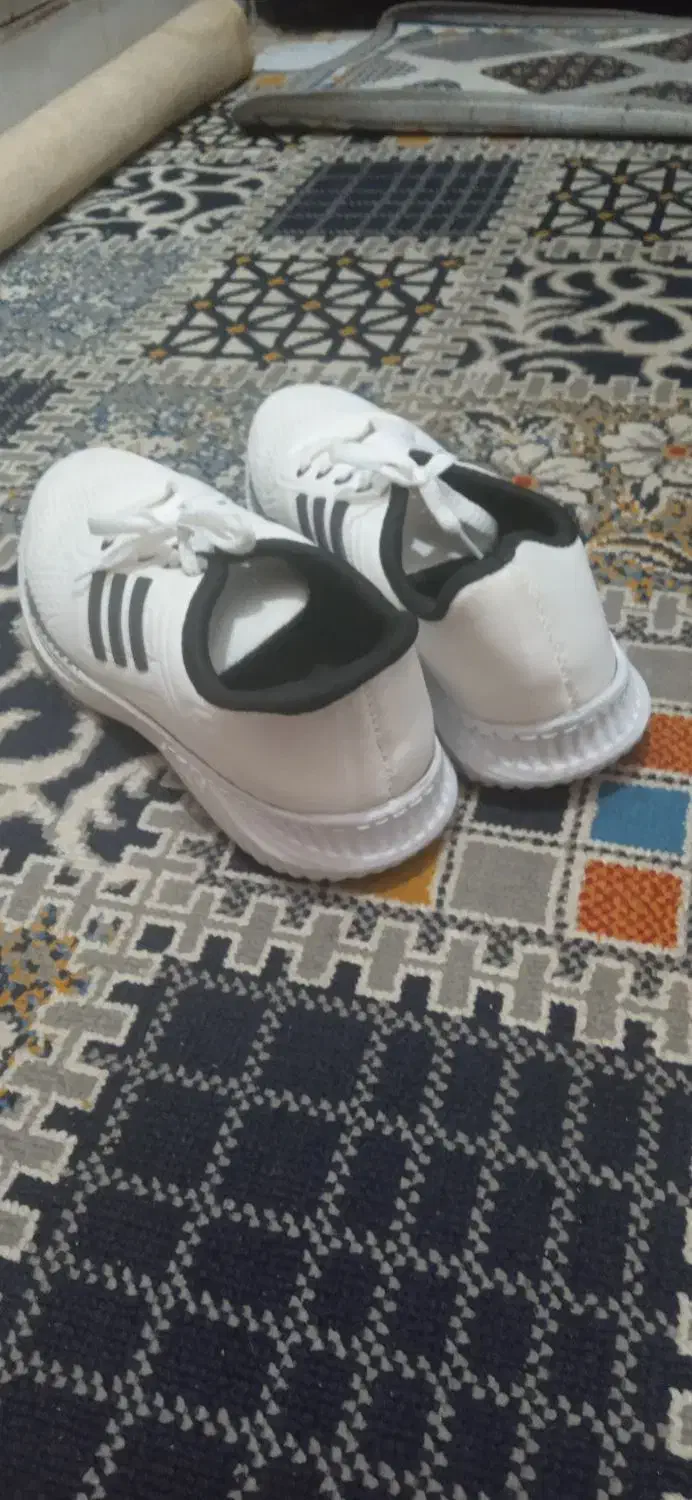 کفش فوتبالی اسپرت شماره ۴۴قیمت مناسب|کیف، کفش، کمربند|بیرجند, |دیوار